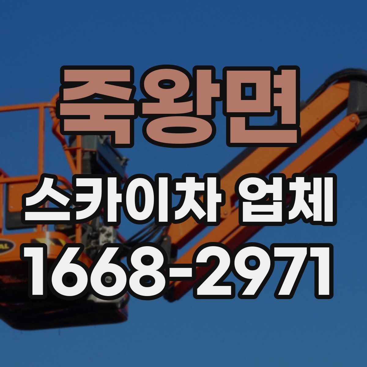 죽왕면 스카이차 업체
