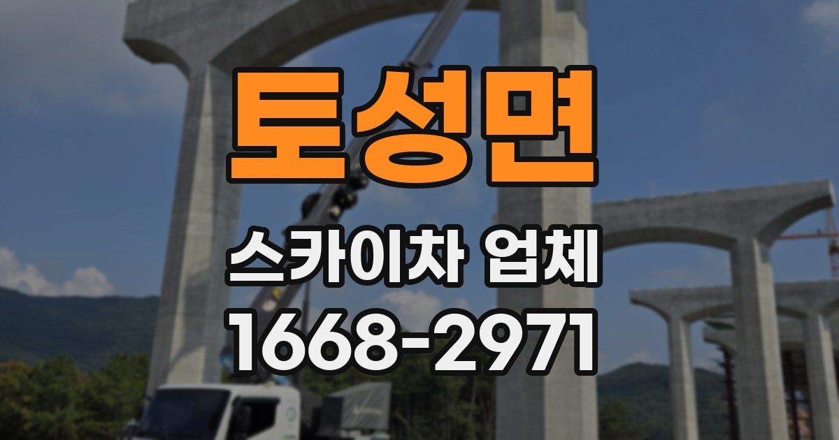 토성면 스카이차 업체