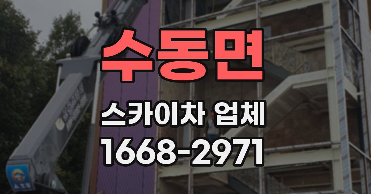 수동면 스카이차 업체