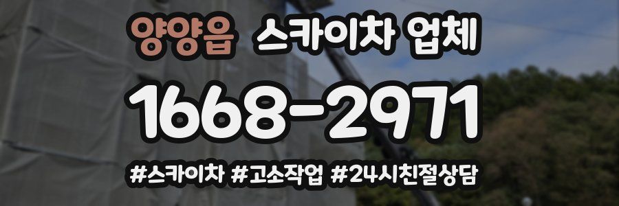 양양읍 스카이차 업체