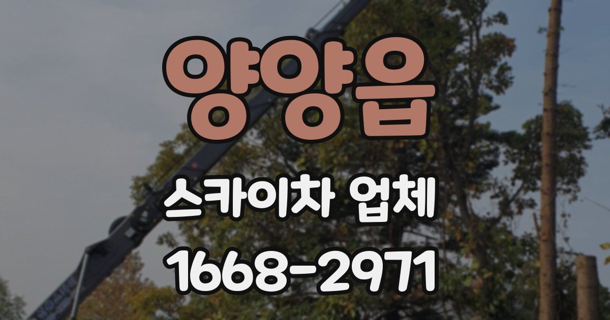 양양읍 스카이차 업체
