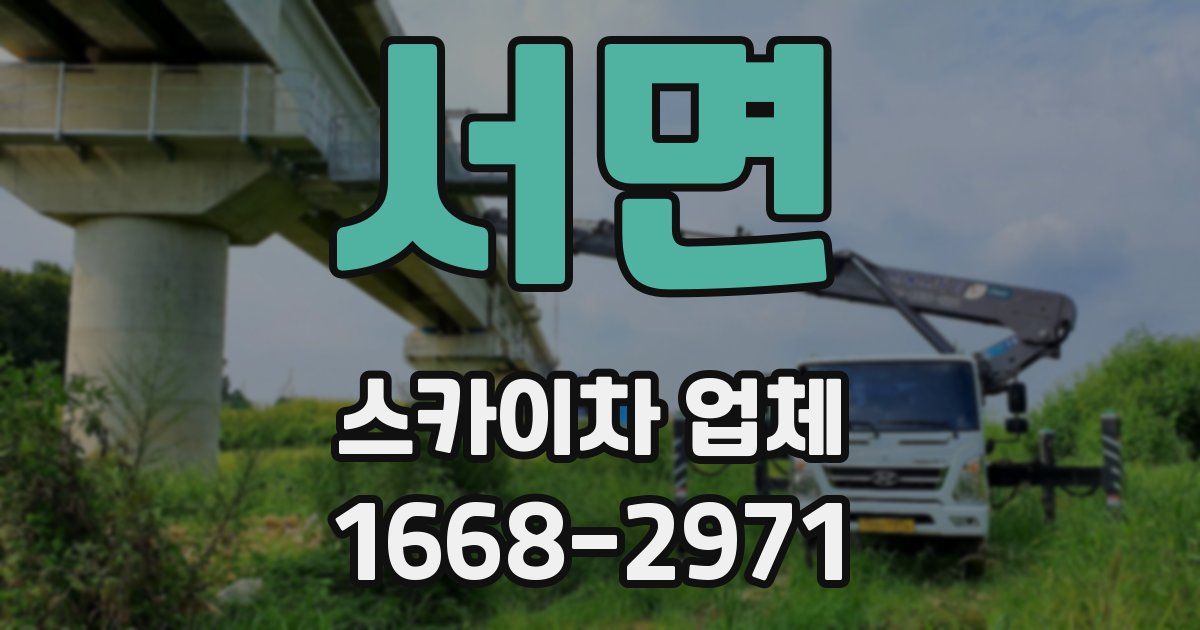 서면 스카이차 업체