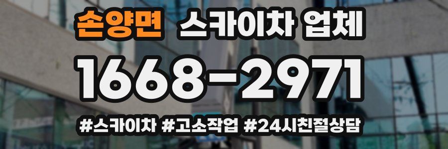 손양면 스카이차 업체