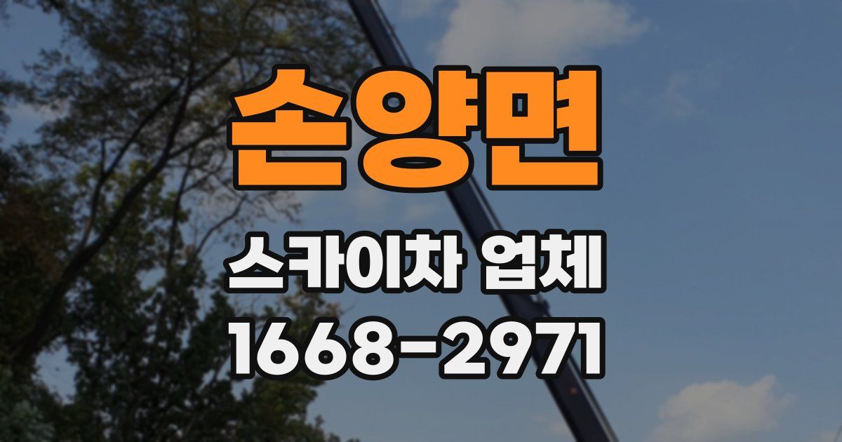 손양면 스카이차 업체