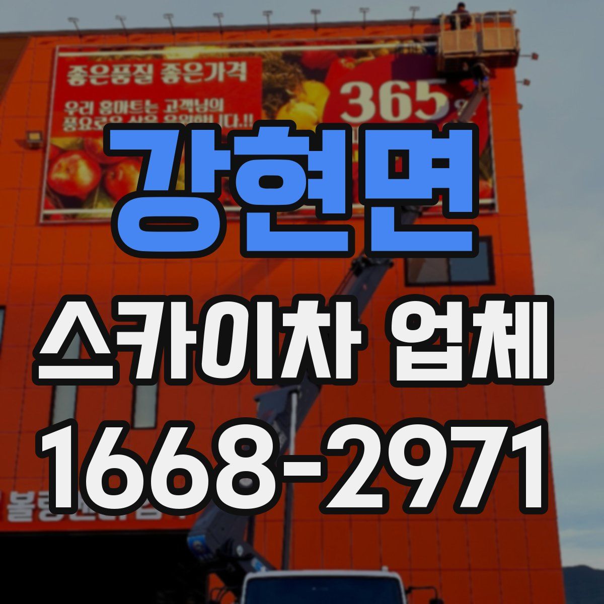 강현면 스카이차 업체