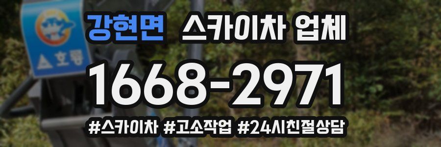강현면 스카이차 업체