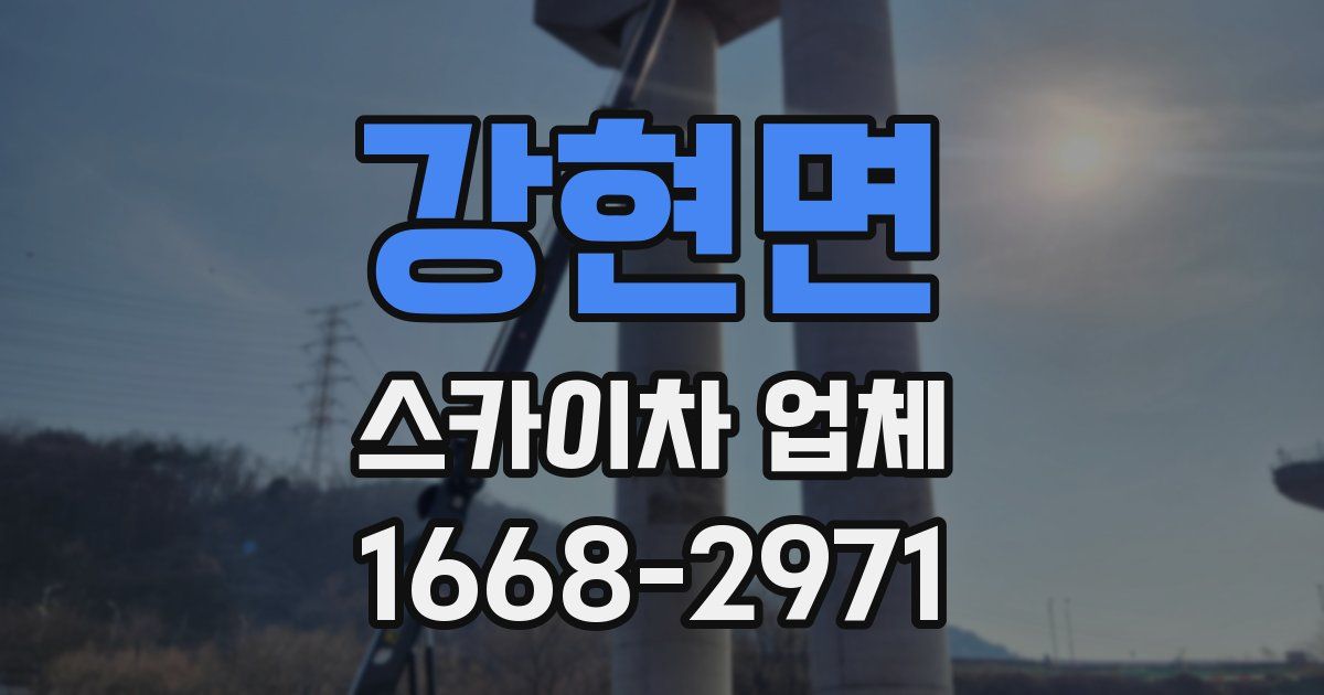 강현면 스카이차 업체