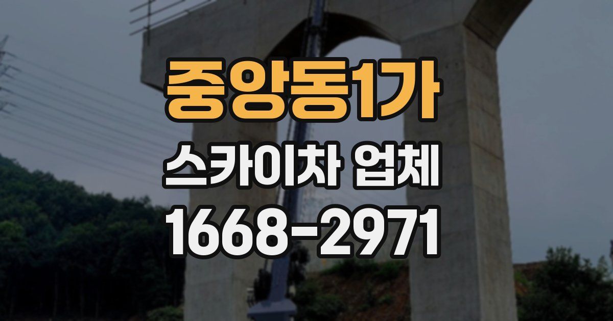 중앙동1가 스카이차 업체