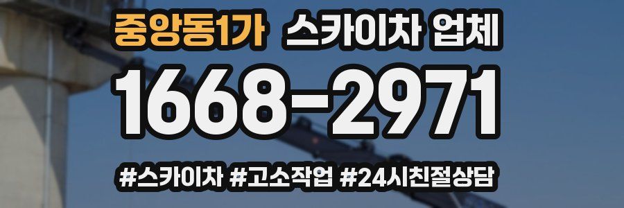 중앙동1가 스카이차 업체