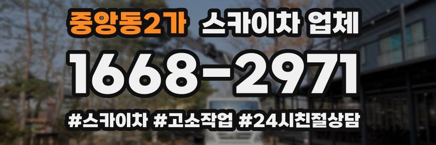 중앙동2가 스카이차 업체