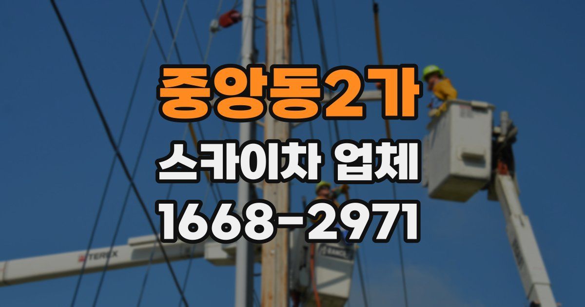 중앙동2가 스카이차 업체
