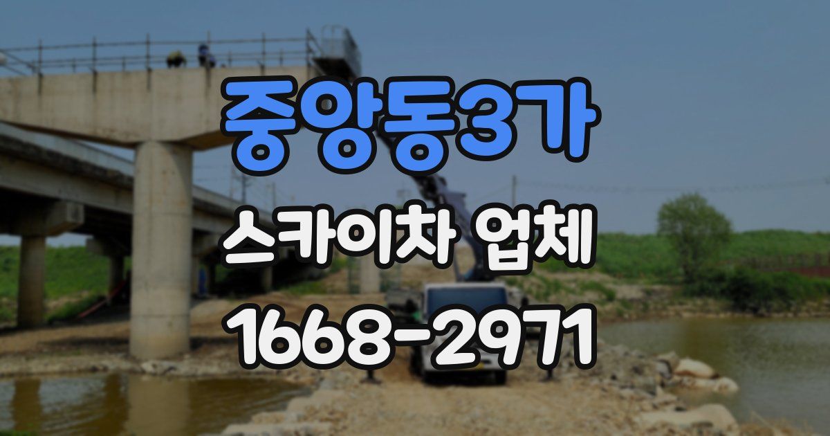 중앙동3가 스카이차 업체