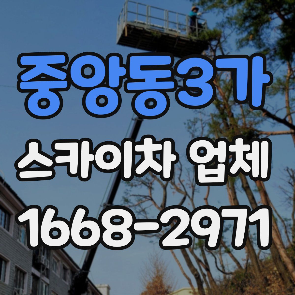 중앙동3가 스카이차 업체