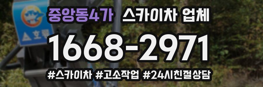 중앙동4가 스카이차 업체