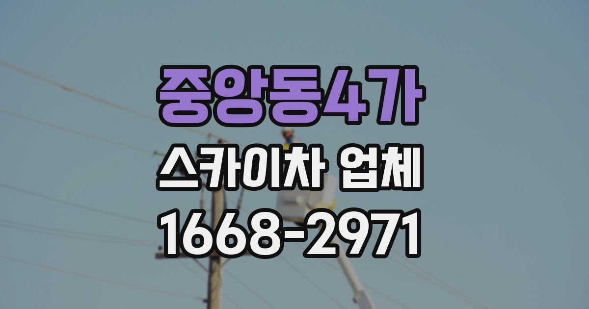중앙동4가 스카이차 업체