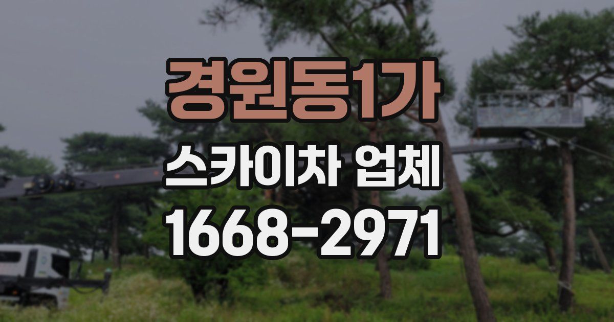 경원동1가 스카이차 업체