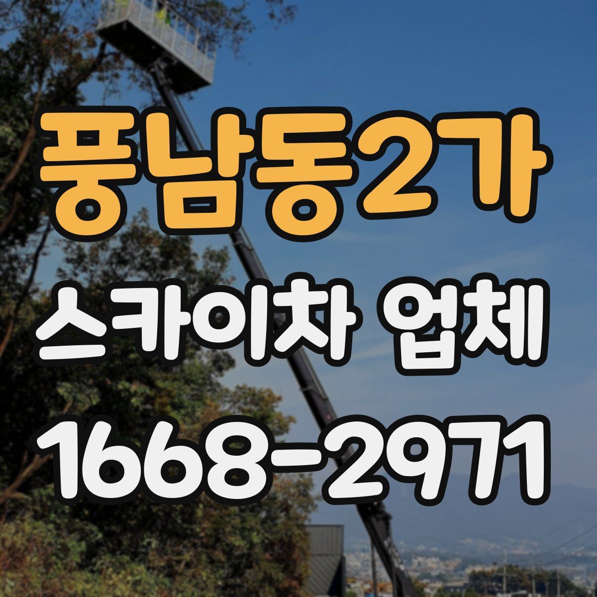 풍남동2가 스카이차 업체