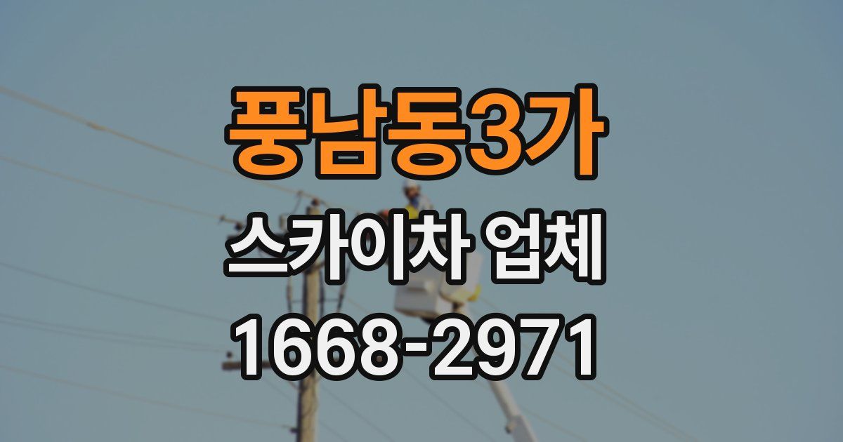 풍남동3가 스카이차 업체