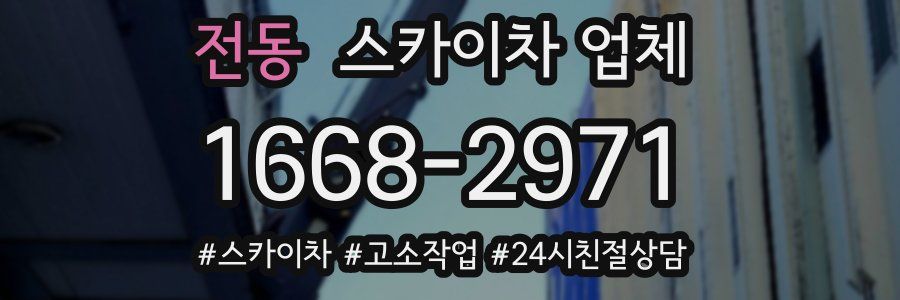 전동 스카이차 업체