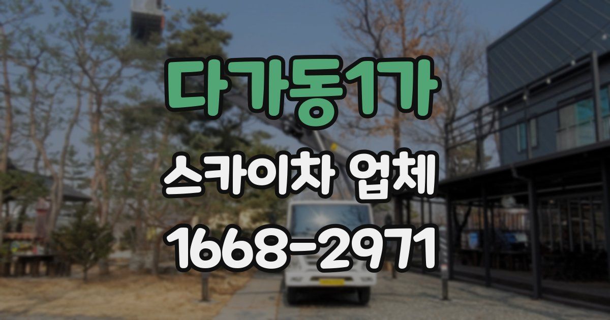 다가동1가 스카이차 업체