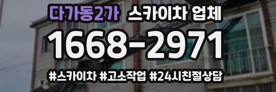 다가동2가 스카이차 업체