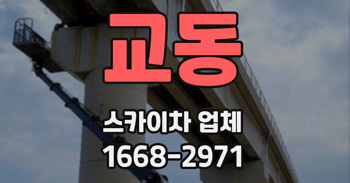 교동 스카이차 업체