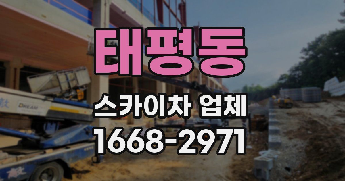 태평동 스카이차 업체