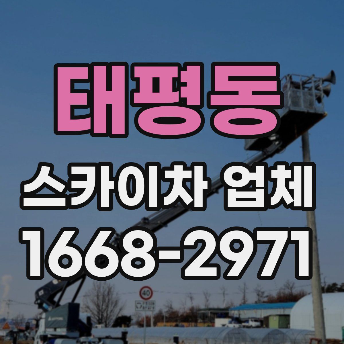 태평동 스카이차 업체
