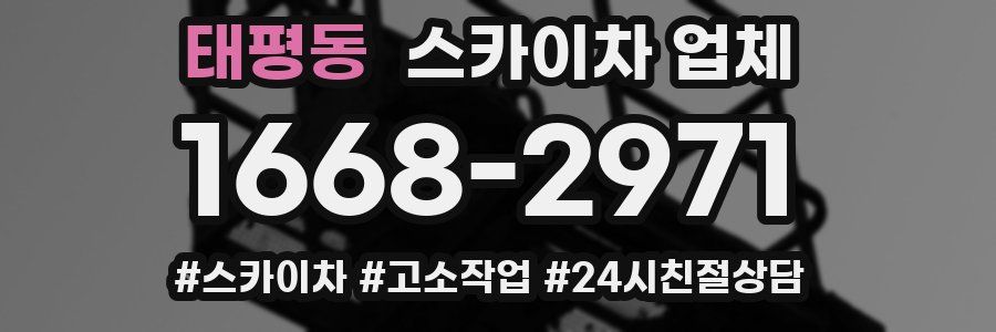 태평동 스카이차 업체