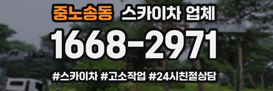 중노송동 스카이차 업체
