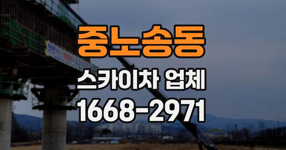 중노송동 스카이차 업체