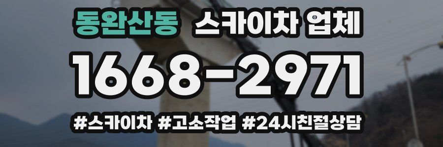 동완산동 스카이차 업체