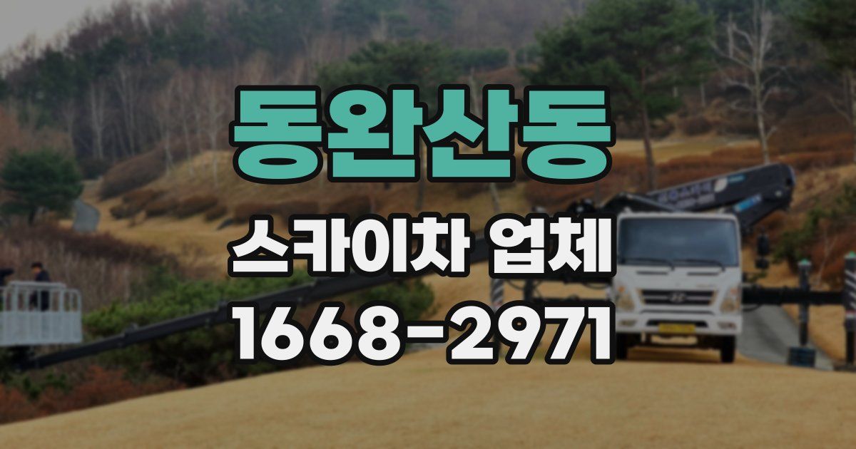 동완산동 스카이차 업체