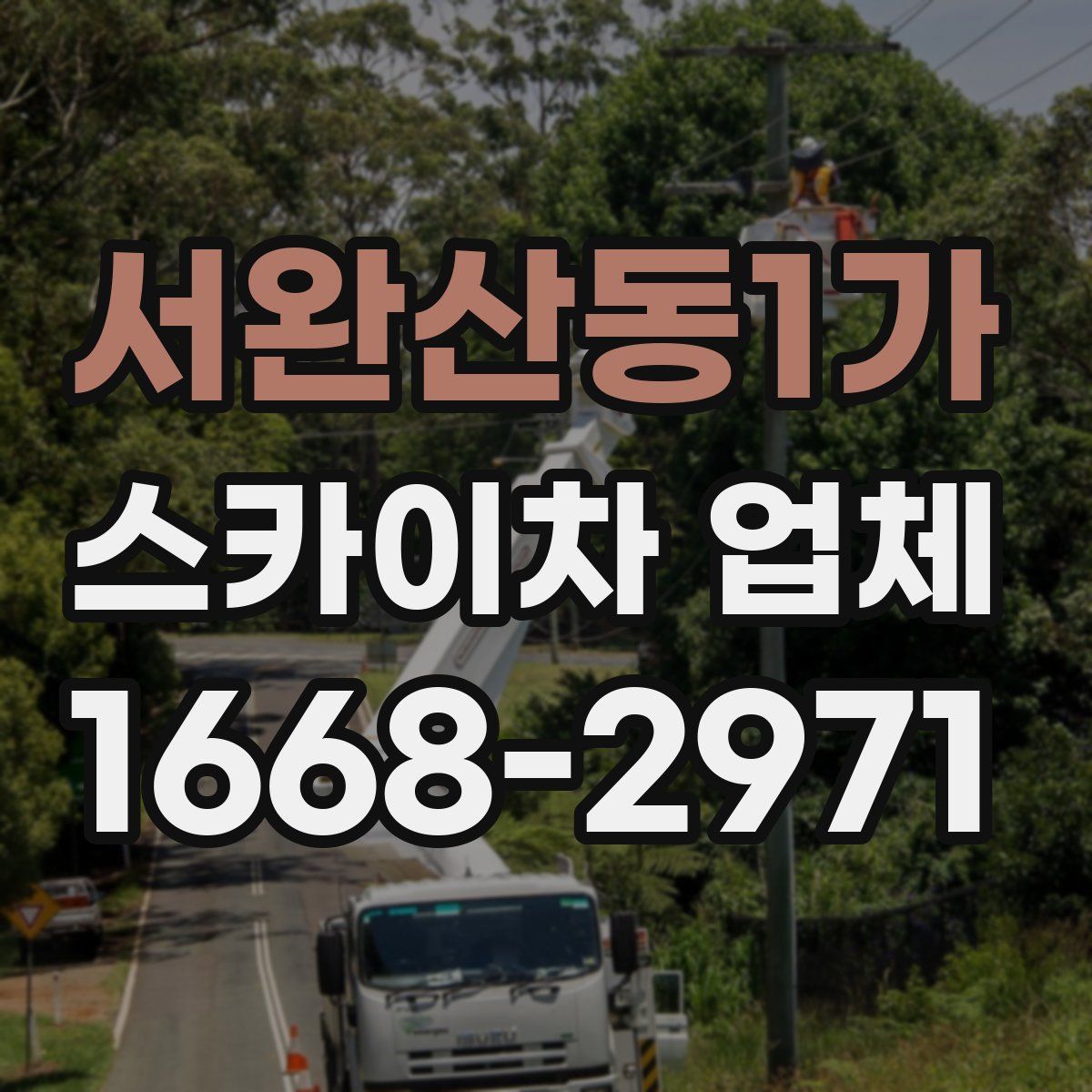 서완산동1가 스카이차 업체