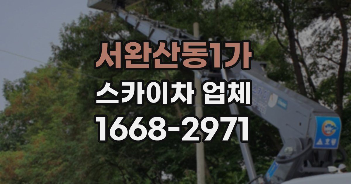 서완산동1가 스카이차 업체