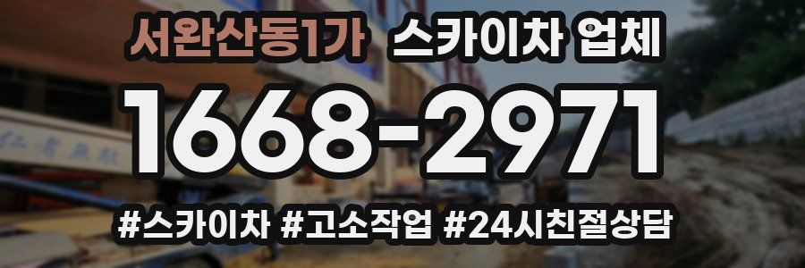 서완산동1가 스카이차 업체
