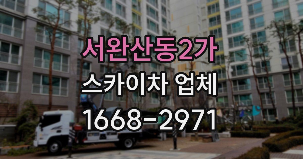서완산동2가 스카이차 업체