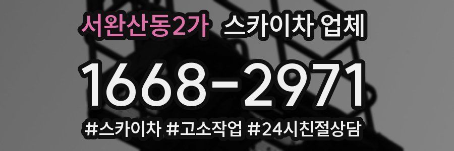 서완산동2가 스카이차 업체