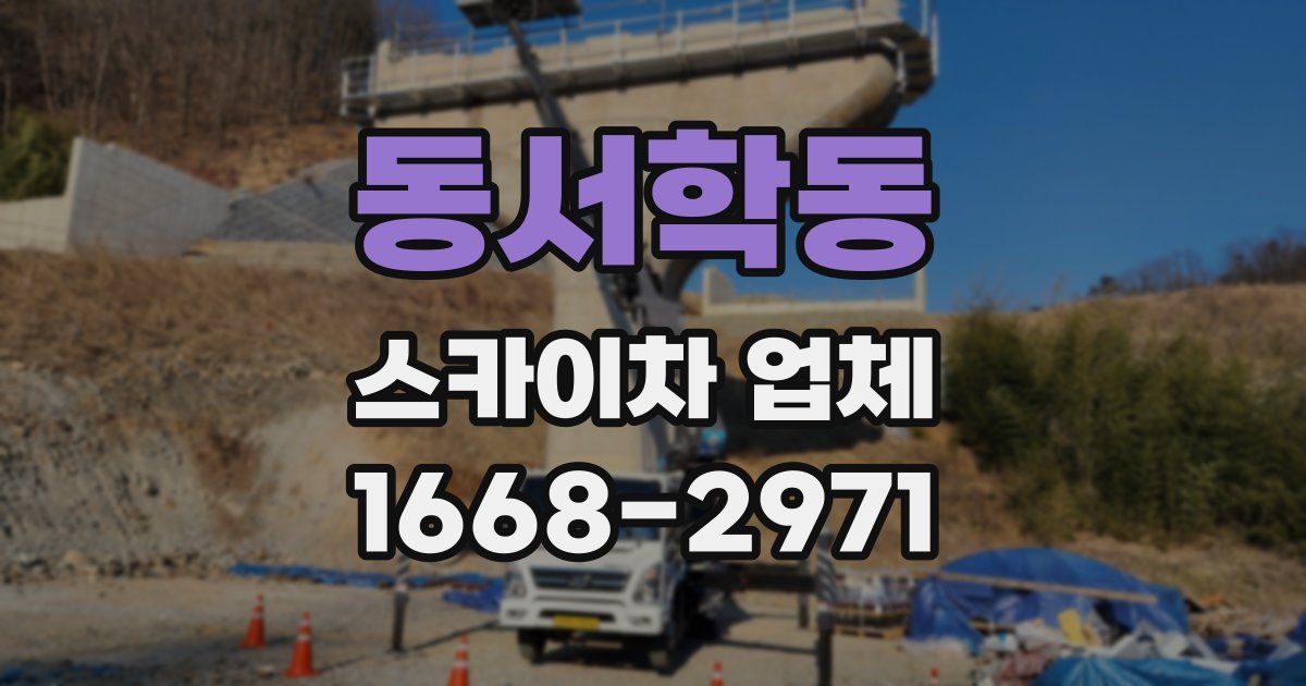 동서학동 스카이차 업체
