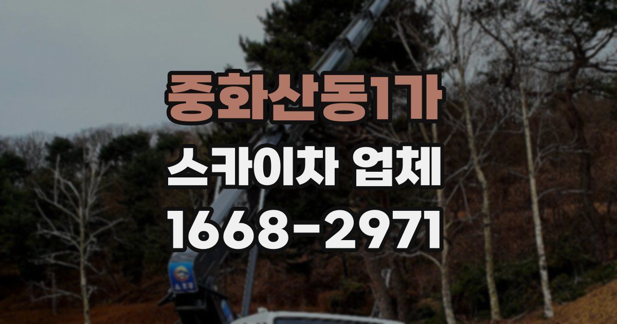 중화산동1가 스카이차 업체