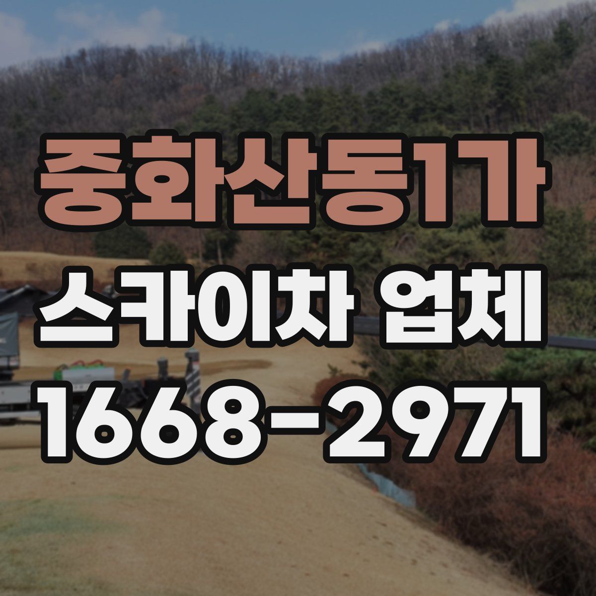 중화산동1가 스카이차 업체
