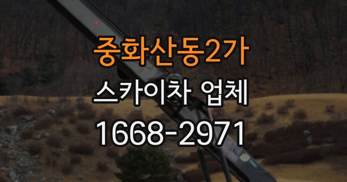 중화산동2가 스카이차 업체