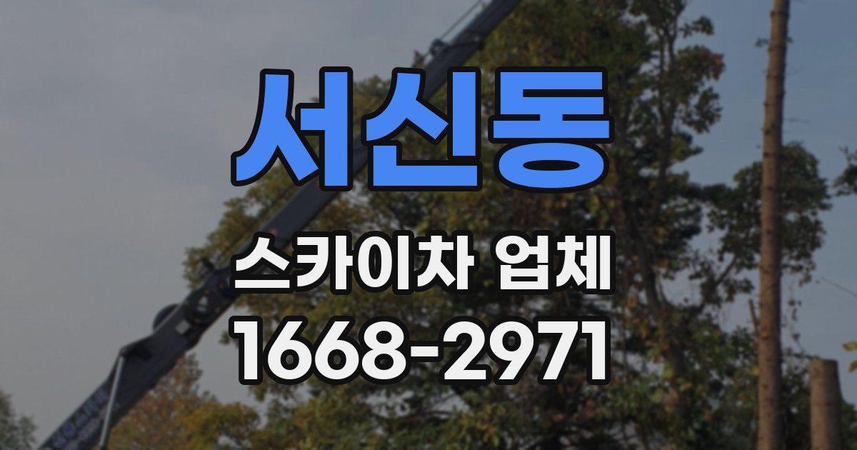 서신동 스카이차 업체