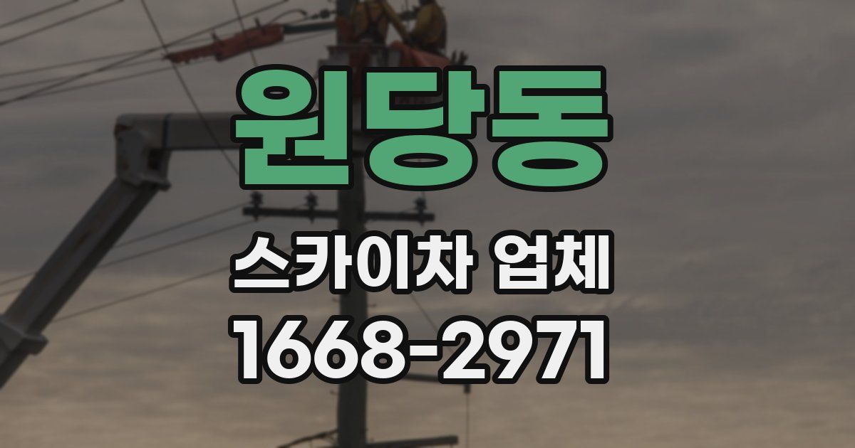 원당동 스카이차 업체