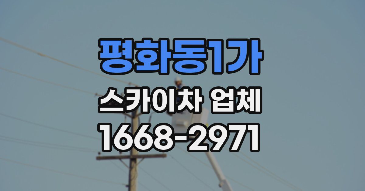 평화동1가 스카이차 업체