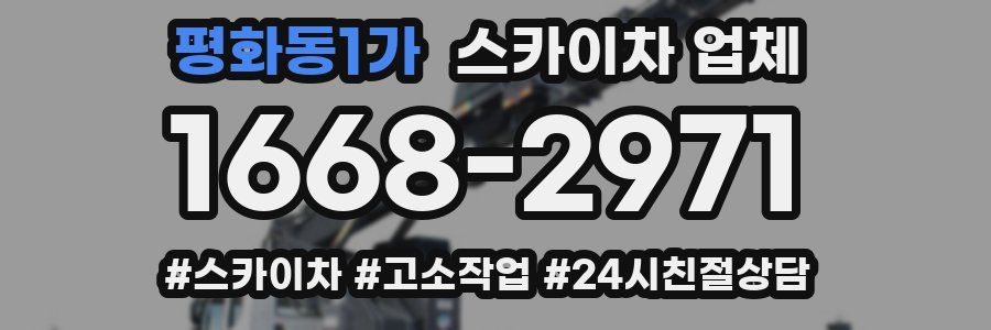 평화동1가 스카이차 업체