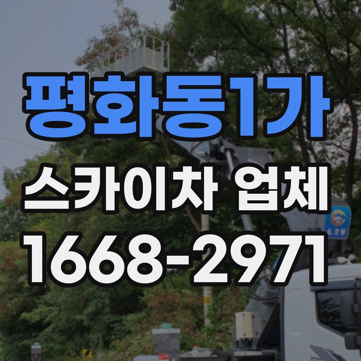 평화동1가 스카이차 업체