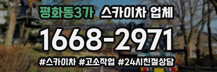 평화동3가 스카이차 업체