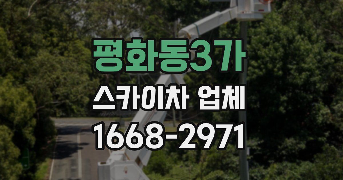 평화동3가 스카이차 업체