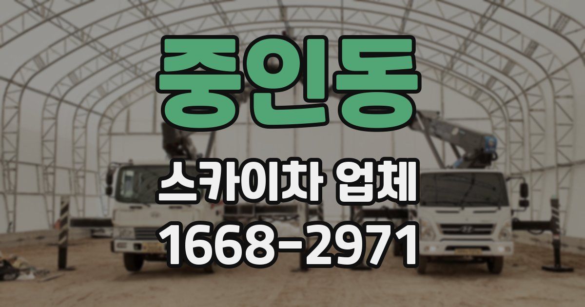 중인동 스카이차 업체